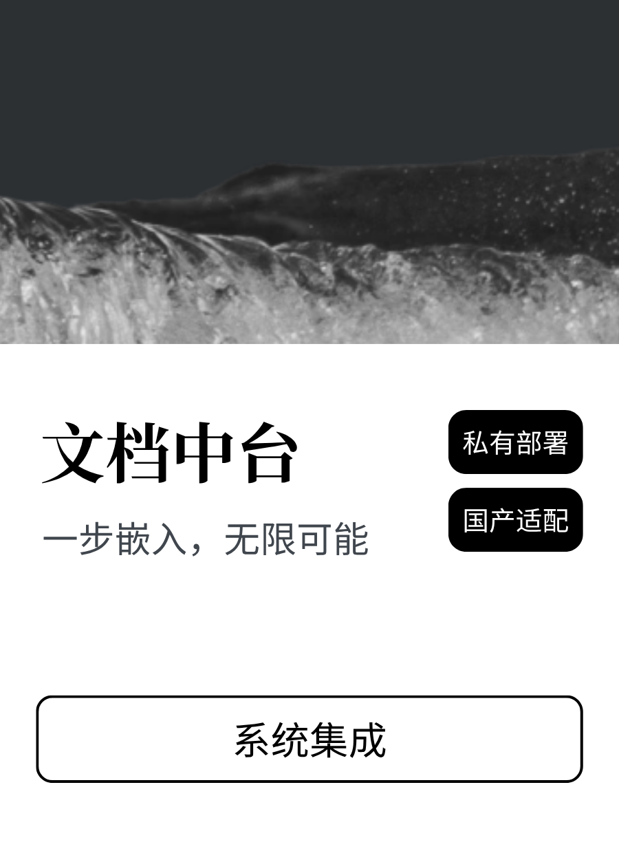 文档中台